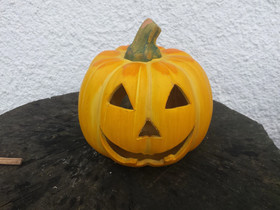 Ferienhaus am Skihang