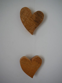 Ferienhaus am Skihang