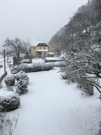 Ferienhaus Elbufer 83