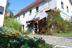 Grüne Idylle im Dresdener Süden