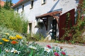 Grüne Idylle im Dresdener Süden