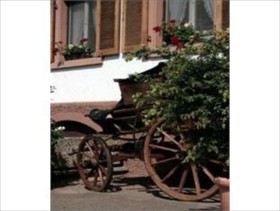 Grüner Baum Landgasthof