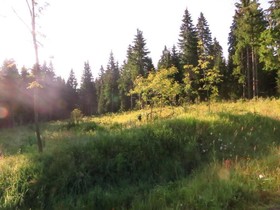 Pension Talblick
