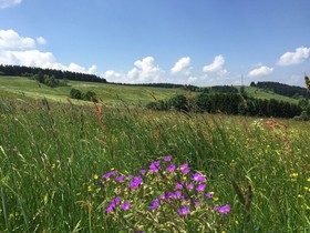 Berghotel Talblick
