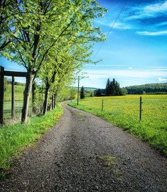 Ferienhotel Goldhübel