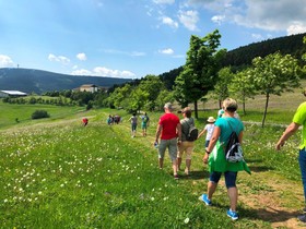 Best Western Ahorn Hotel Oberwiesenthal