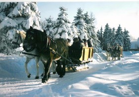 Berghof