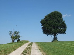 Seiffener Hof