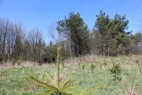 Waldgasthof Bad Einsiedel