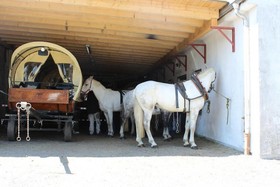 Waldgasthof Bad Einsiedel