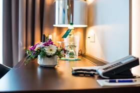Hotel König Albert