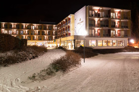 Hotel König Albert