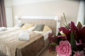 Hotel König Albert