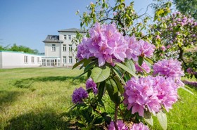 Hotel Siegmar im Geschäftshaus