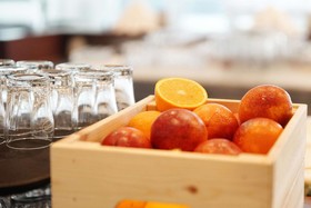 Best Western Macrander Hotel Dresden