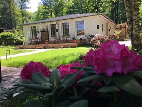 Little Suite Apartments