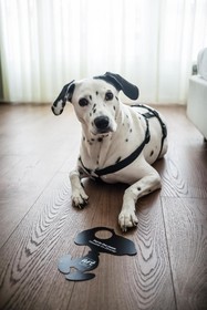 Art Hotel City Leipzig