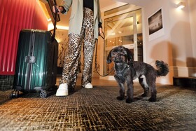 Best Western Hotel Windorf