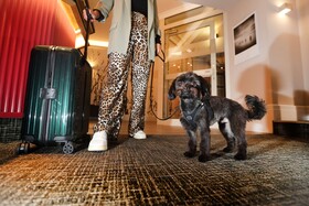Best Western Hotel Windorf