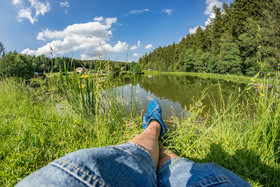 Gläserner Bauernhof