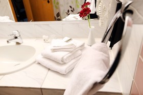 Best Western Parkhotel Brehna-Halle