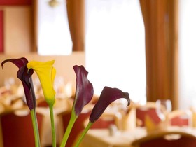 Mühlenhotel Halle-Leipzig