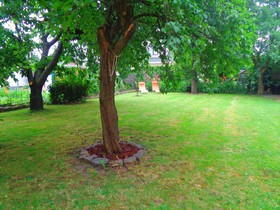 Apartment Puell