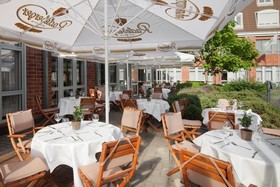 The Willow