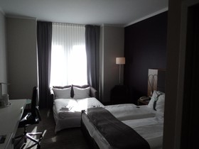 The Willow