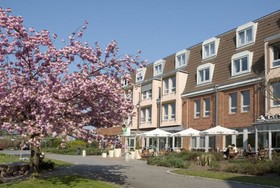 The Willow