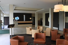 The Willow