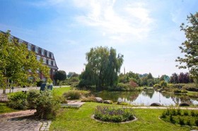 The Willow