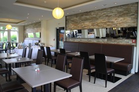 The Willow