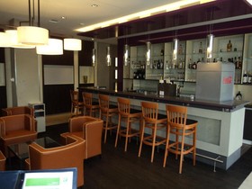 The Willow