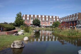 The Willow