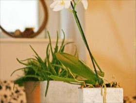deckerts Hotel am Katharinenstift