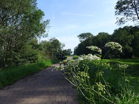 Dorint Herrenkrug Parkhotel Magdeburg