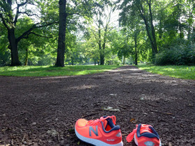 Dorint Herrenkrug Parkhotel Magdeburg