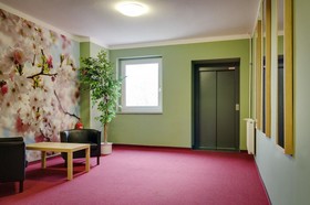 Annex Himmelsscheibe