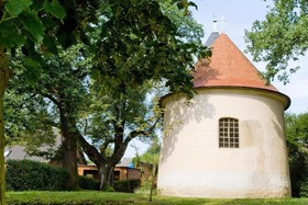 Luther Birke Wittenberg
