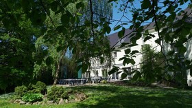 Luther Birke Wittenberg