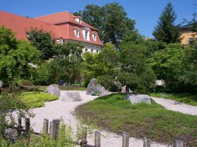 Weiße Elster