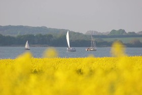 An der Schlei