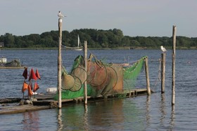 An der Schlei