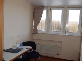 Kieler Förde