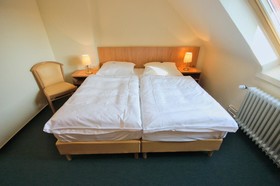 Wiking