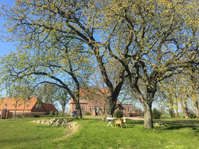 Gutshof Rothensande