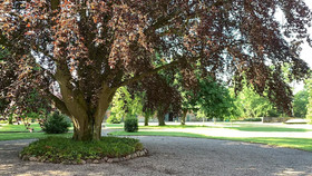 Gutshof Rothensande