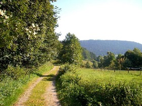 Gasthaus Pension Erlenhof