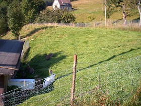 Gasthaus Pension Erlenhof